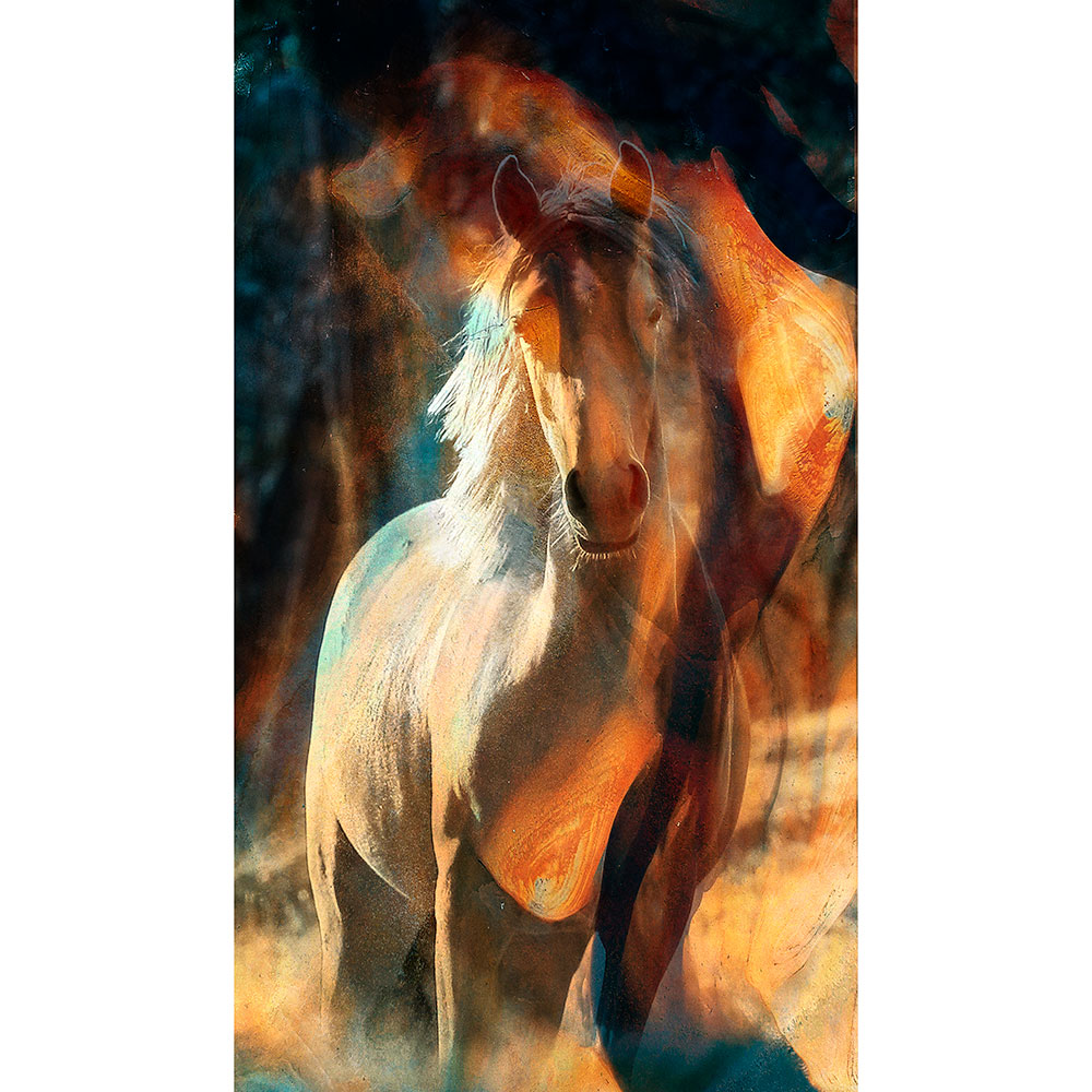 Gravura para Quadros Cavalo Fundo Abstrato - Afi12940