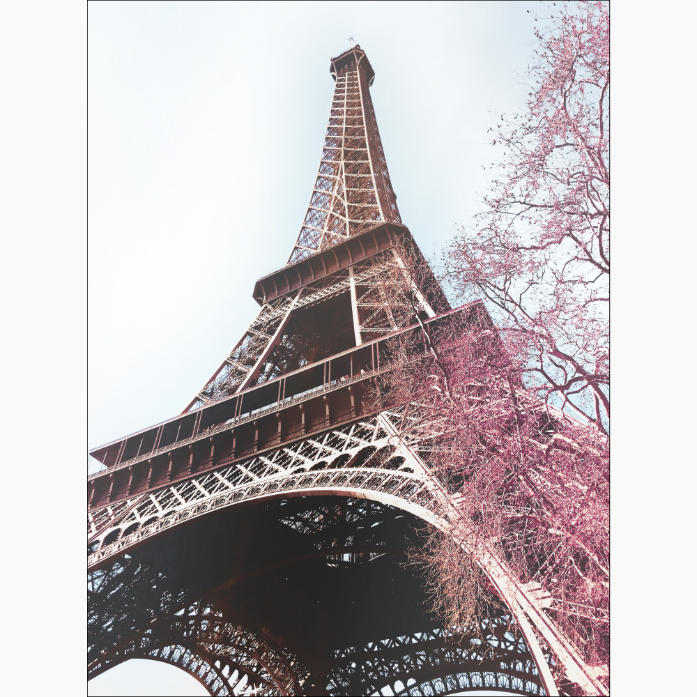Tela para Quadros Monumento Torre Eiffel Flores Rosa - Afic11503