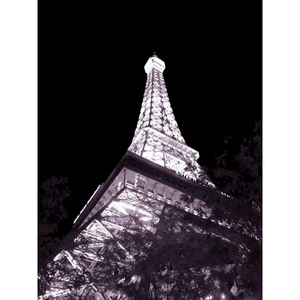 Tela para Quadros Decorativos Torre Eiffel Paris Hotel Las Vegas - Afic10860