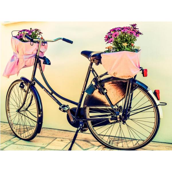 Impresso em Tela para Quadros Vasos de Flor em Bicicleta - Afic4985