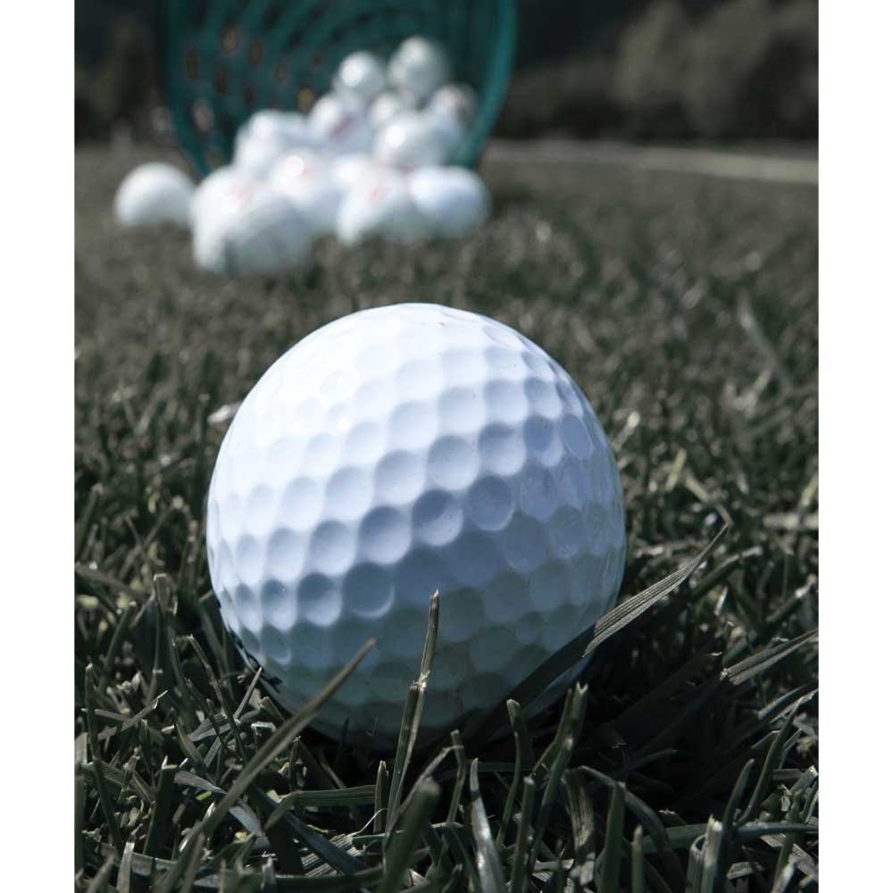 Tela para Quadros Decorativos Bola de Golf - Afic10132