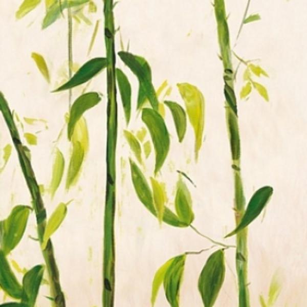 Gravura para Quadros Bambu Verde de Jardim - Wl3748 - 33x33 Cm