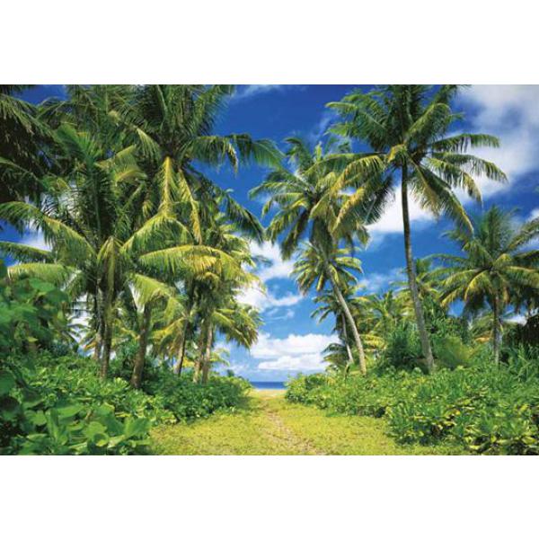 Gravura para Quadros Ilha Paradisaca 366x254 cm