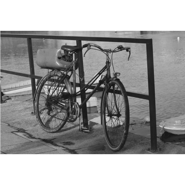 Impresso em Tela para Quadros Bicicleta com Garupa de Lato - Afic1293