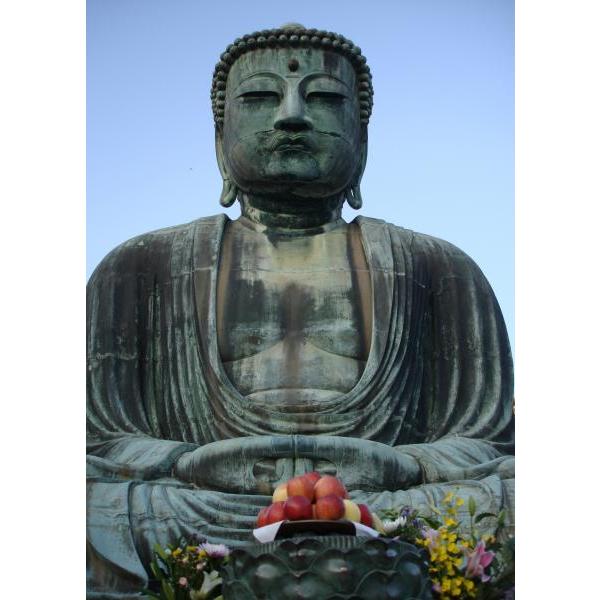 Impresso em Tela para Quadros Buda Envelhecido Meditando - Afic323 - 50x70 Cm