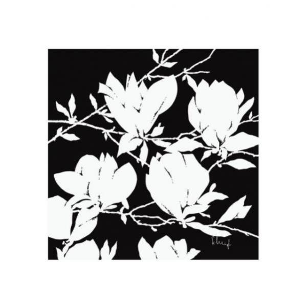 Gravura para Quadro Flor de Magnlia - 099167 - 30x30 Cm