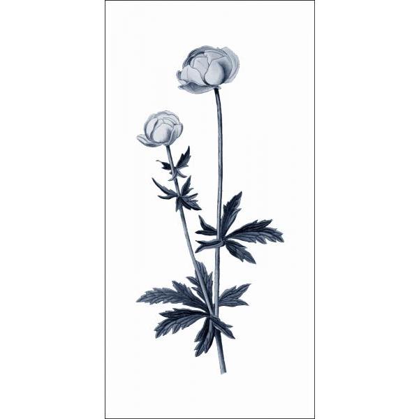 Impresso em Tela para Quadros Floral Silhueta de Flores - Afic6073