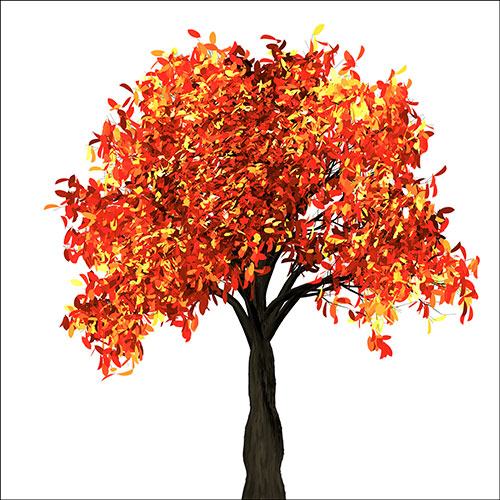 Tela para Quadros rvore de Outono Folhas Vermelhas e Amarelas - Afic18925