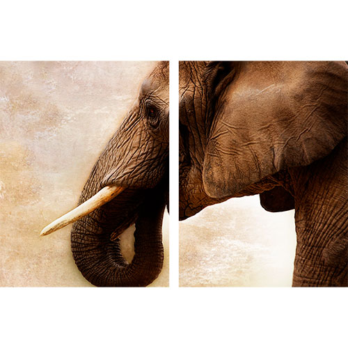 Gravura para Quadros Recortada Elefante Fundo Abstrato - Afi18035a - 185x120 Cm
