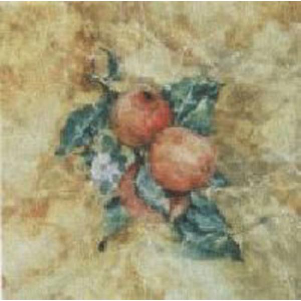 Gravura para Quadros Decorativos Fruta Rom - Ncn3326-1 - 25x25 Cm