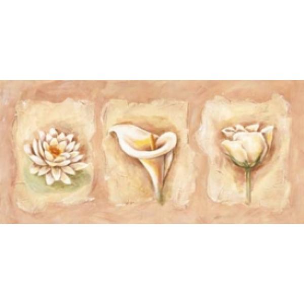Gravura para Quadro Pster Trio Floral - Dn285 - 70x30 Cm
