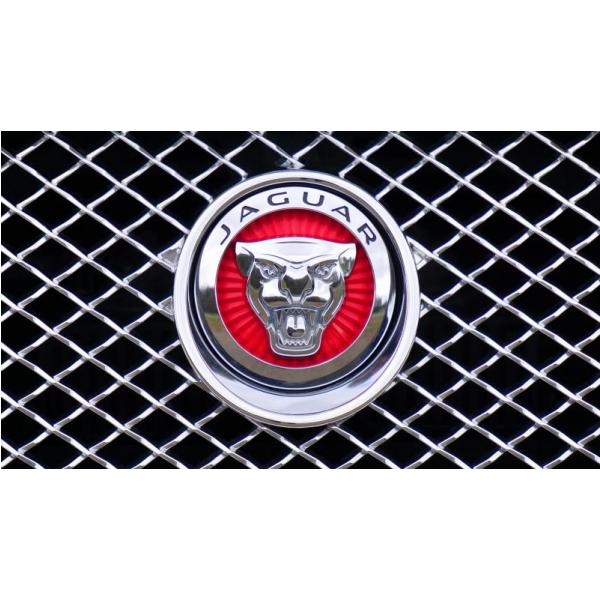 Impresso em Tela para Quadros Decorativos Emblema Jaguar - Afic1484