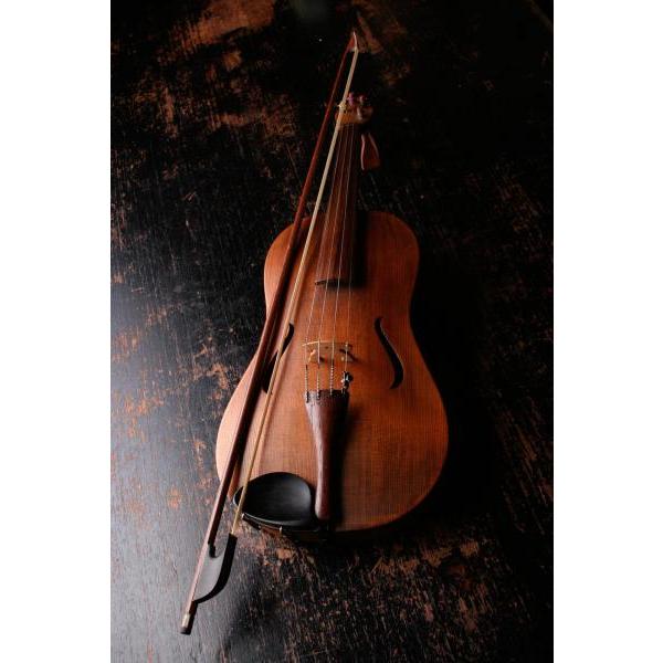 Impresso em Tela para Quadro Instrumento Musical Violino - Afic2703