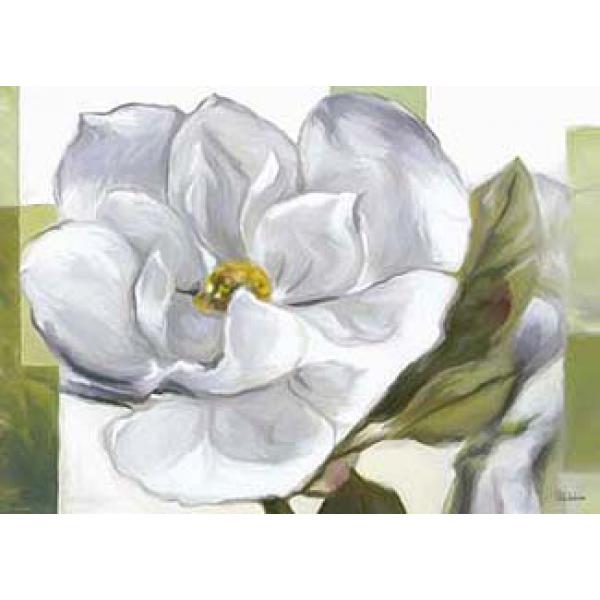 Gravura para Quadros Flor Branca Penia - Cm2057 - 70x50 Cm