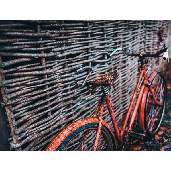 Gravura para Quadros Bicicleta Abandonada - Afi074