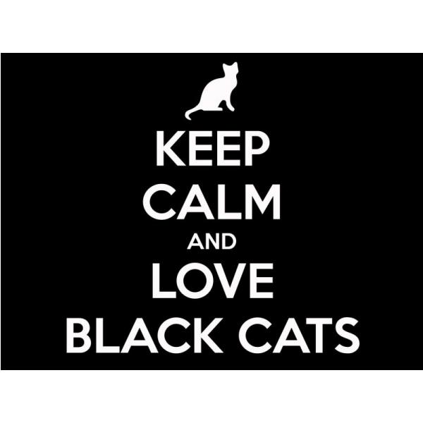 Impresso em Tela para Quadros Frase Keep Calm And Love Black Cats - Afic538 - 70x50 Cm
