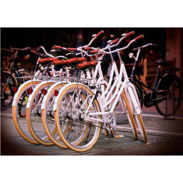 Impresso em Tela para Quadros Bicicleta Branca com Banco Vermelho - Afic1335