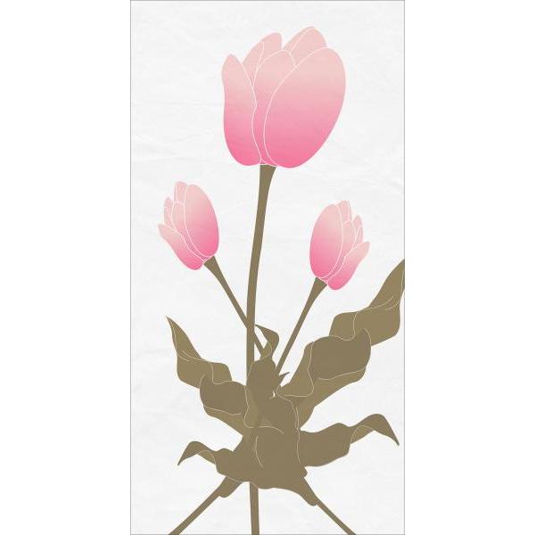 Impresso em Tela para Quadros Floral Tulipa Rosa Fundo Branco - Afic5146