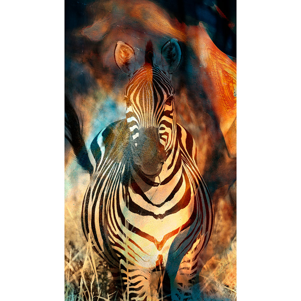 Gravura para Quadros Zebra Fundo Abstrato - Afi12942