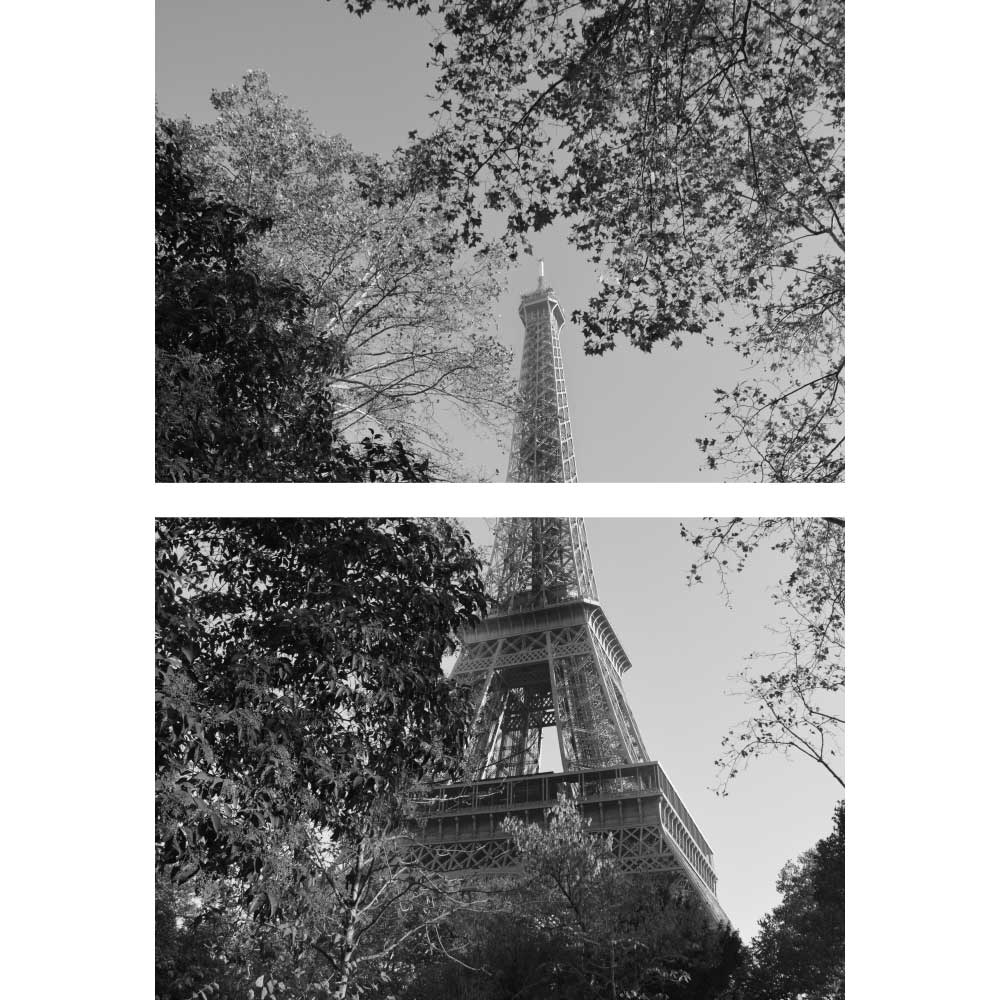 Tela para Quadros Recortado Torre Eiffel em Meio a Natureza - Afic10856a - 100x145 Cm