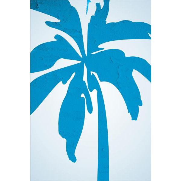 Gravura para Quadros Folha Palmeira Azul Claro - Afi4543