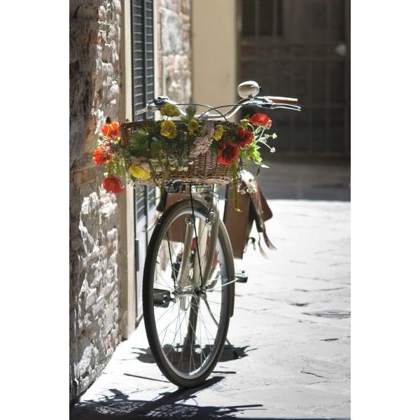 Impresso em Tela para Quadros Bicicleta com Belo Cesto de Flores Coloridas - Afic1314